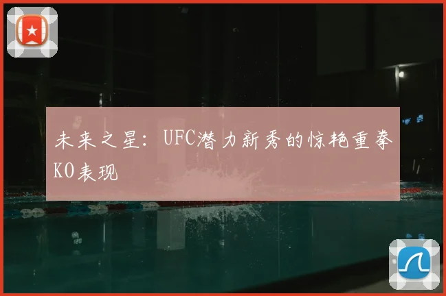 未来之星：UFC潜力新秀的惊艳重拳KO表现