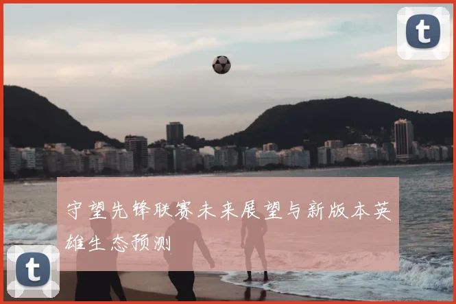 守望先锋联赛未来展望与新版本英雄生态预测