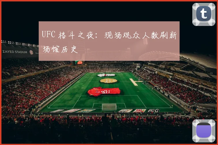 UFC 格斗之夜：现场观众人数刷新场馆历史
